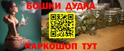стаф Сланцы