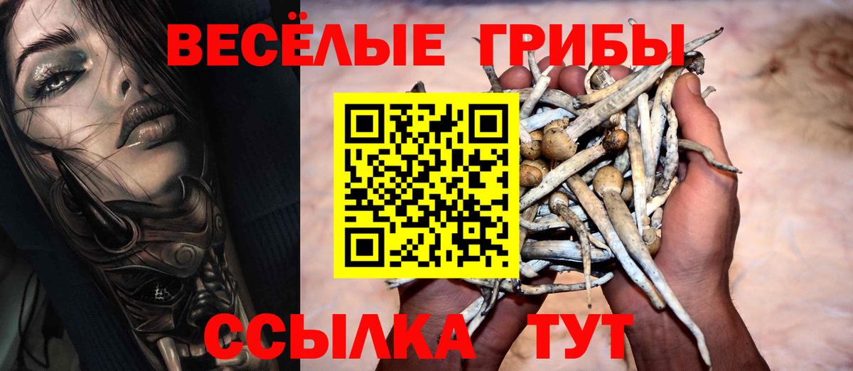 Псилоцибиновые грибы ЛСД  Вход с VPN  Норильск 